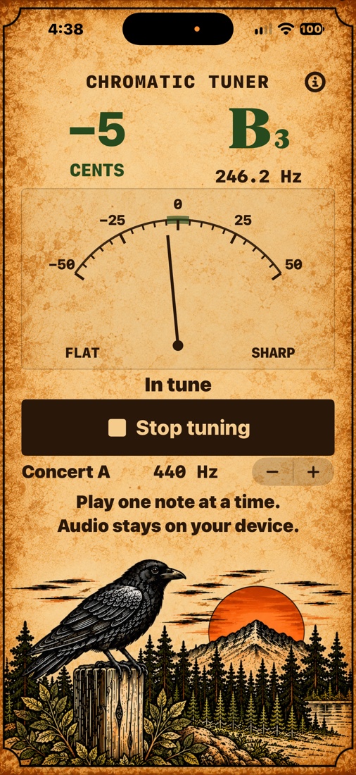 Live iPhone tuning: B3 at minus 5 cents and 246.2 Hz, with an In tune reading